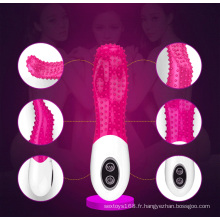 Sexe Sex Vibrator adulte Sex Toy pour femme (IJ-T10002)